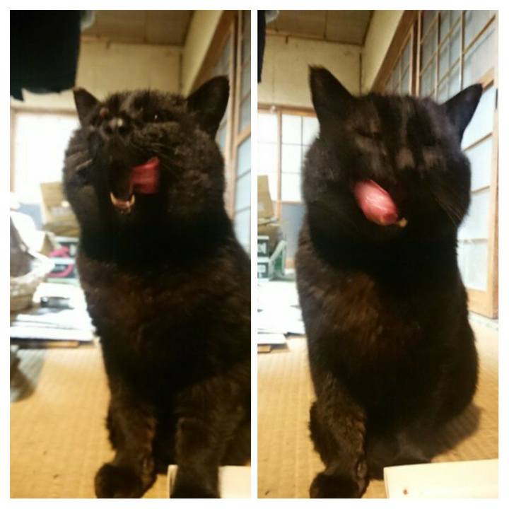 4958c841 5bc5 41ab b5e5 f2d5f571d648 1616325721106