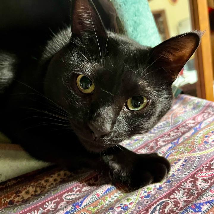 49591cfb c9f1 4b25 86a2 a3bbb605c3ef 1698492053377