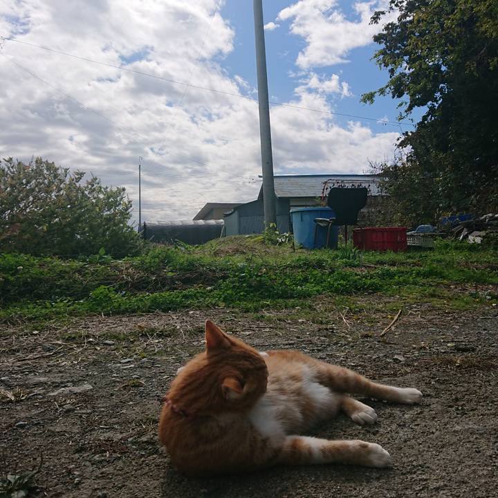 49592c25 9131 4028 b92a 6864c81e4eea 1603513393723