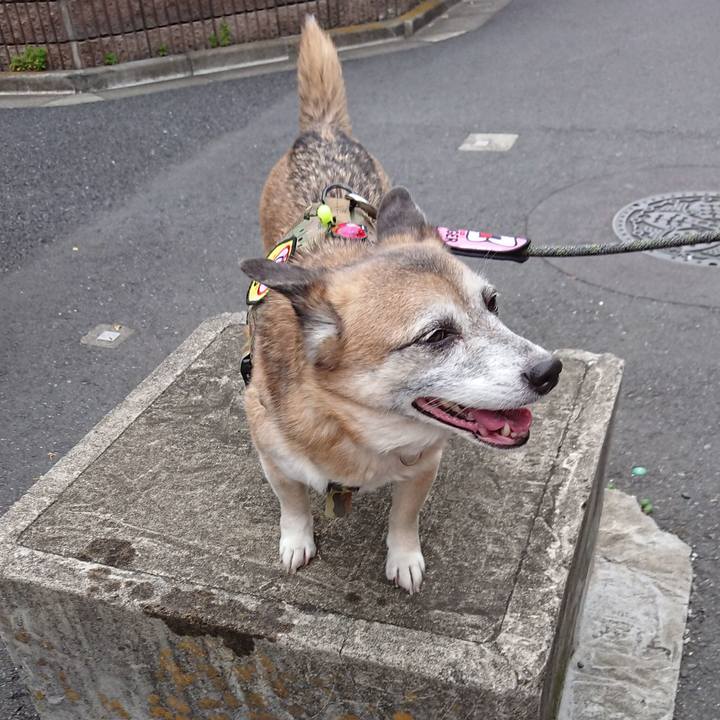 49593b6a d7dd 47d0 bdf8 b3976345bb25 1588512897433