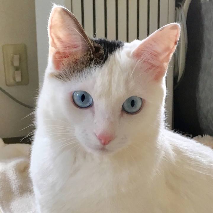 49595ff0 74da 4c4b af08 e9dfb46f971c 1521689407733