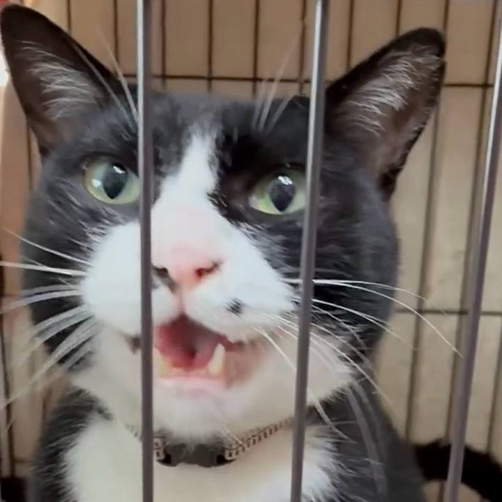 4959649c 4aed 4826 acaa 4cf0a97e49ad 1752288639976