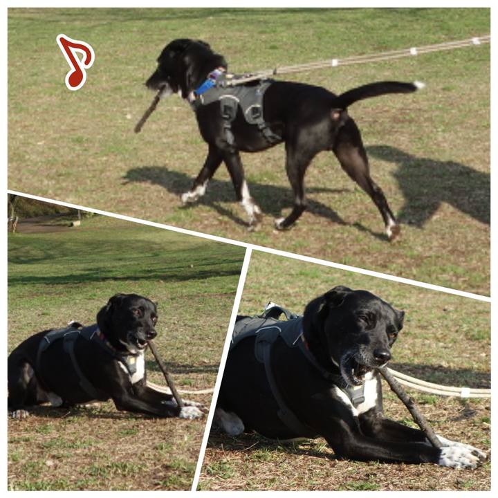 49597ce2 3d82 49af b4c1 817b98040ac1 1648082223660