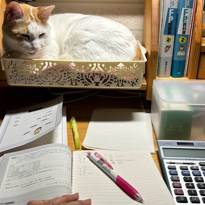 495986f5 1052 4c9f becd ed2c013ccdfd 1677618682913