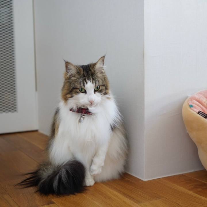 49599caa 1491 45c7 8c4a 772a95ddf79c 1618042181135