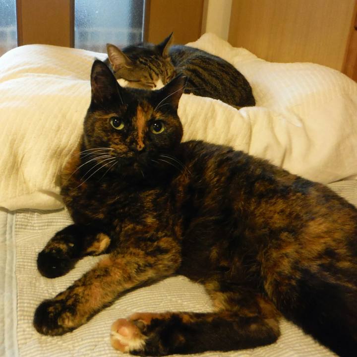 4959a6ee 750c 4647 ae9b 0340500ecaff 1569143751644