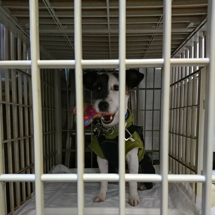 4959dab9 6e2e 42db bb8d 9004a5823d03 1548339439210