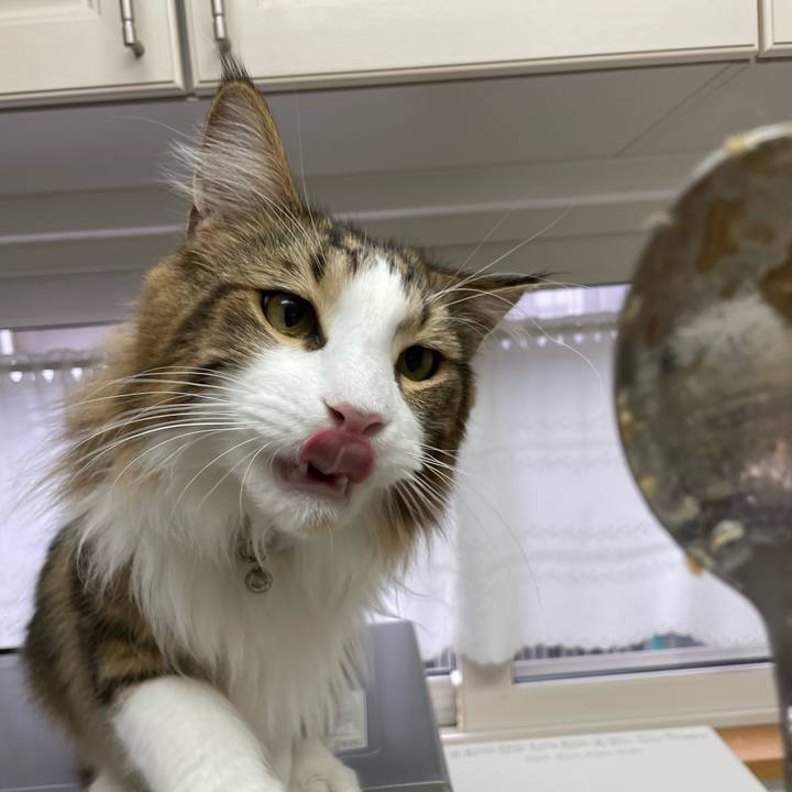 495a1962 8060 4b5c 8bf6 e255f41d8a7a 1653164808130