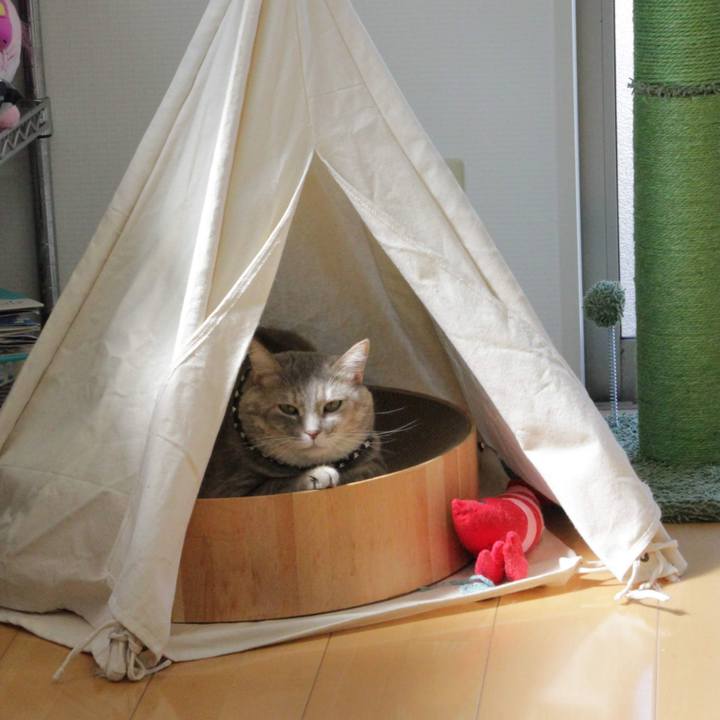 495a2109 2708 44b9 88fe f556ab1b0563 1664510018746