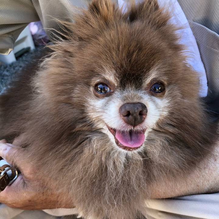 495a2b3e 3461 4c62 967f c416fbe43666 1626572977338