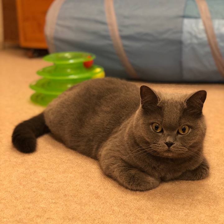 495a8d5c 0f41 482b b417 fd6e9cfb5d60 1520597335176