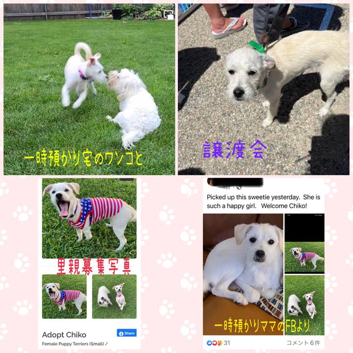 495aa43d a96c 4185 9b15 cab34e255c2f 1655895164820