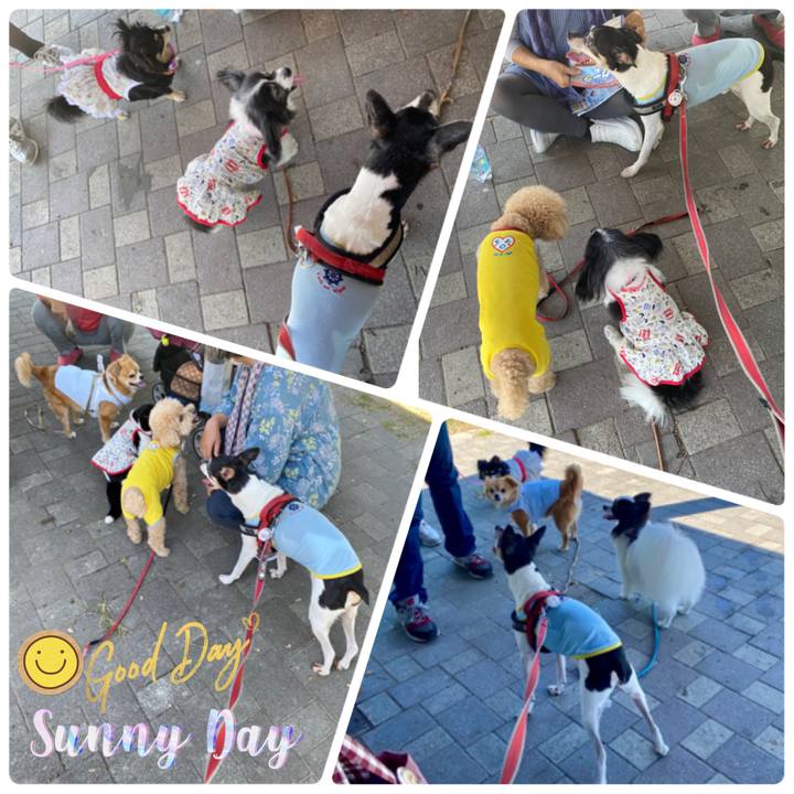 495adc09 9520 444e 8bfa 703686af708e 1597457176091