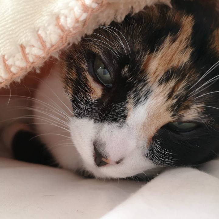 495adc8b 699e 4a9e 82e8 b37e96536c6e 1612944893058