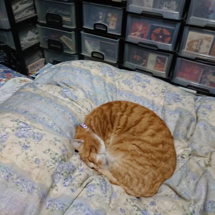 495ae372 afb4 456f 9580 bc544a88948d 1576579869295