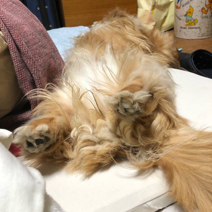 495b05b8 c6f8 4b2c 8fa2 4137e7d2fb62 1555761129581