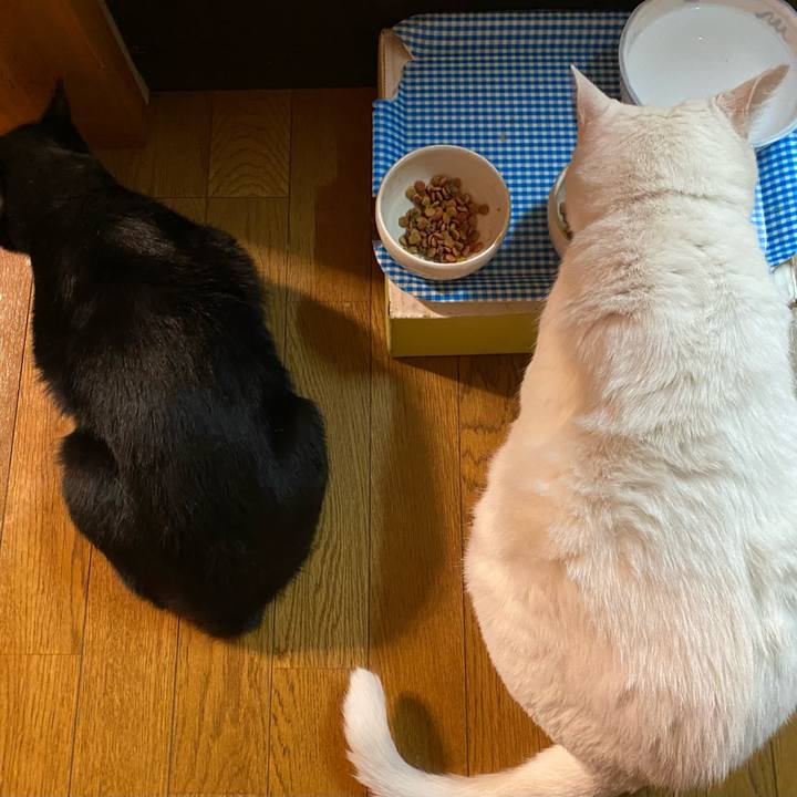 495b2deb f9d7 40a7 a5e0 b893089465b9 1639900893126