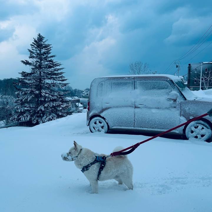 495b6ce0 b3f9 4609 bf84 7da0e968854e 1774044630222