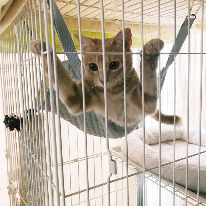 495b89b6 46d7 4e93 895f 3006f6524365 1561293686889