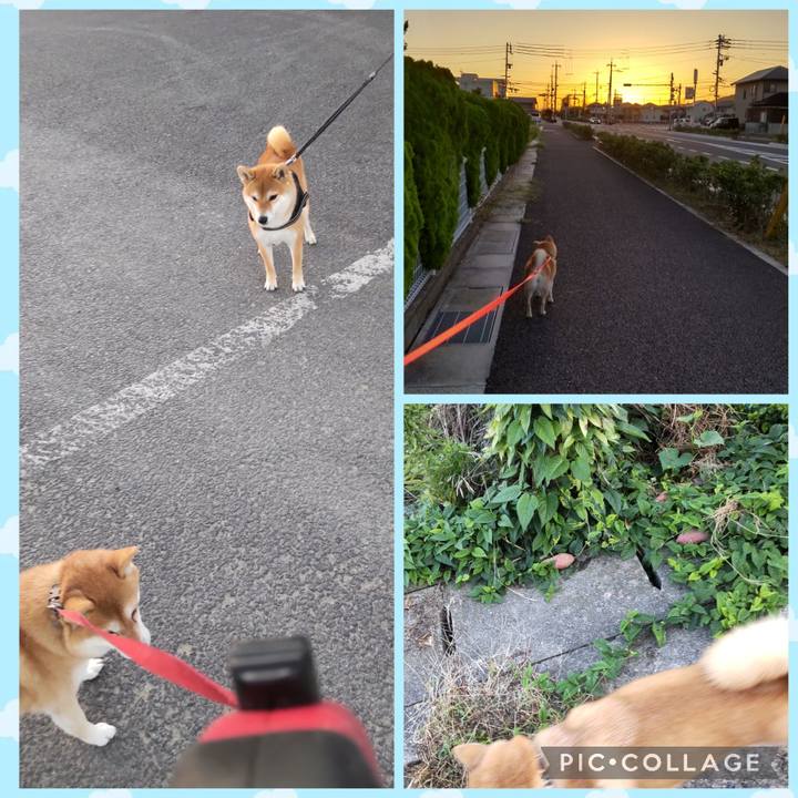 495bac73 80ca 434c abaa 62ce84812a75 1760667204077