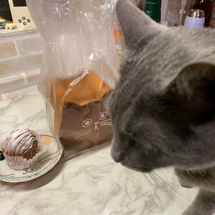 495bfb6b a81b 4020 8da8 a56086eaed8b 1645414871390