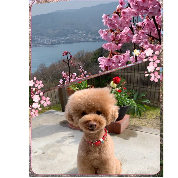 495bfdba 8737 45b6 97fc 4ccbfc8463ab 1553669042292