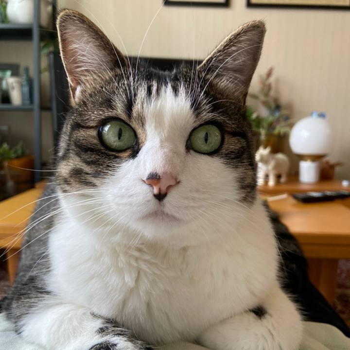 495d0d02 a58d 4e05 b6f8 3200fd3a2df5 1593317609682