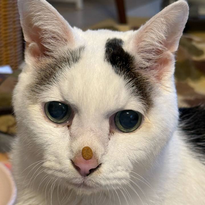 495d20c8 fba5 44a5 bf2a b42a3879e9a5 1766046780223