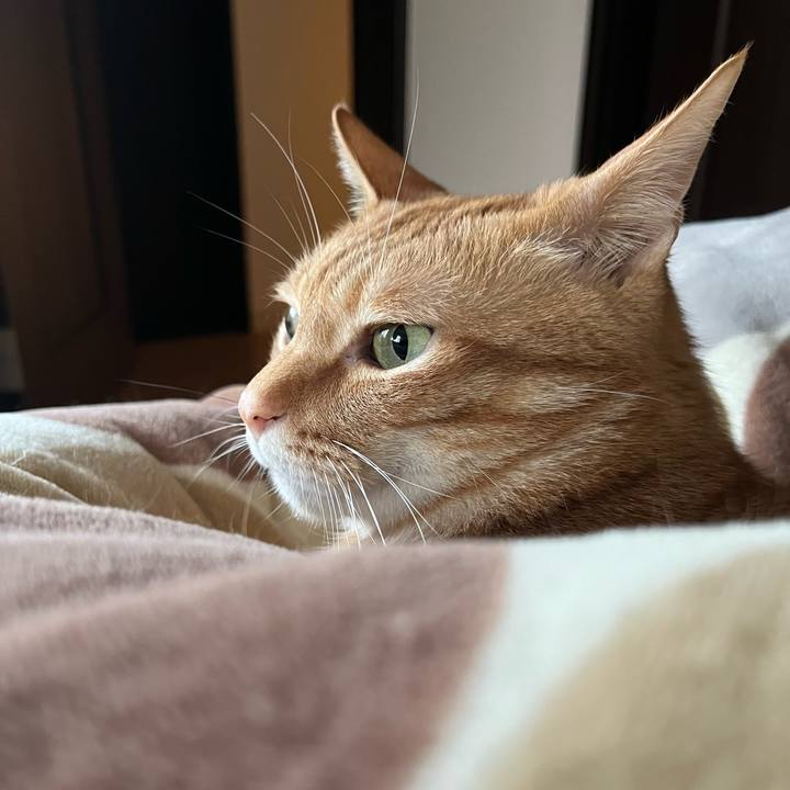 495d776d 2638 4d2b ab47 4181a52c1d67 1649803490213