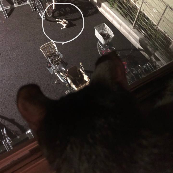 495d9c43 cb89 4863 acf3 fbf0b986b8bc 1599978670925