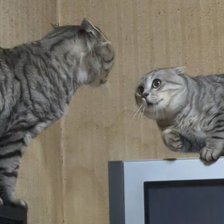 495da1b2 d767 46ab bb88 fffbbb2378cb 1727017201269