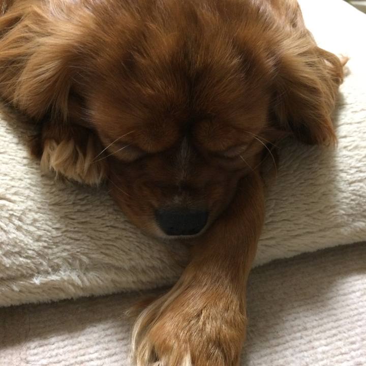 495dae23 e032 4b13 8b3c afc3a9d31916 1523915638156