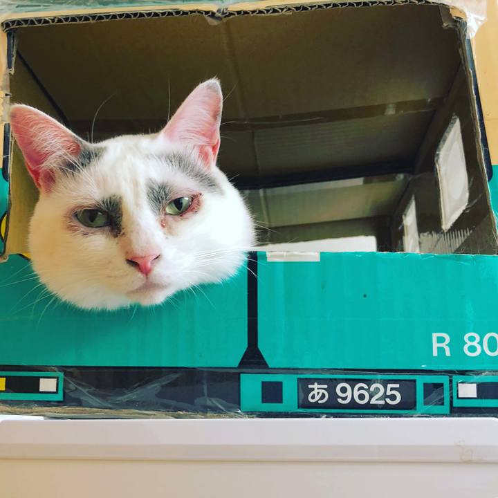 495ddbc6 4343 4a0a a5e7 1c4d578700bc 1535229845559