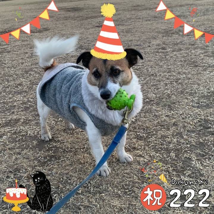 495df098 fd9a 4578 991c 007c2cdb610b 1645511624669