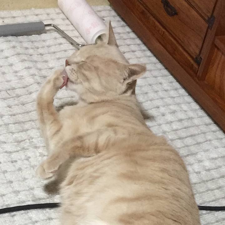 495df5c1 9a7d 4714 9640 4e3275cc0e28 1517390933503