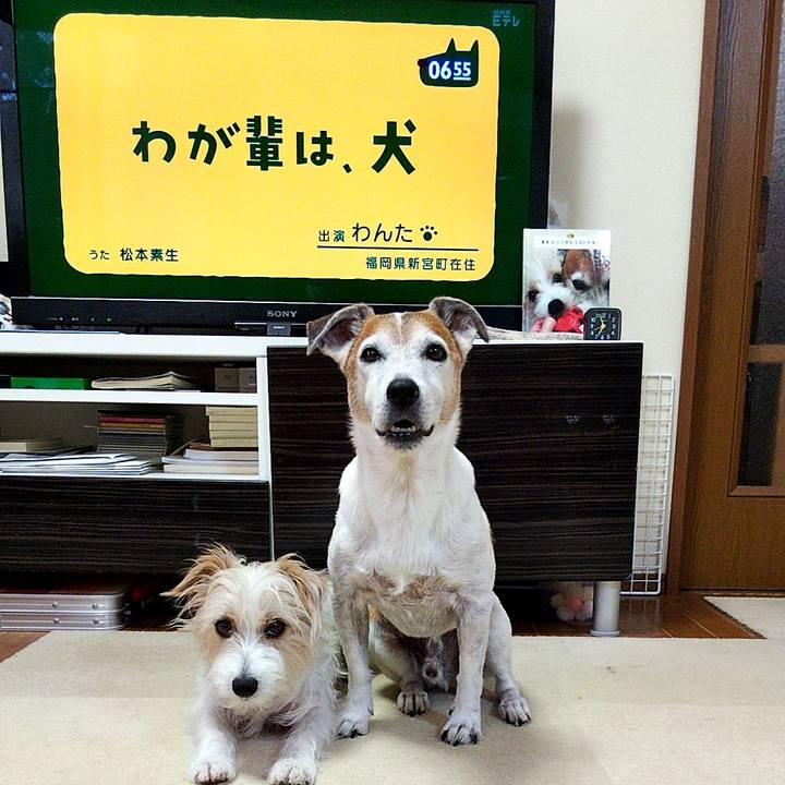 495e1b49 c59e 4a56 b944 933e253529ba 1565130077445