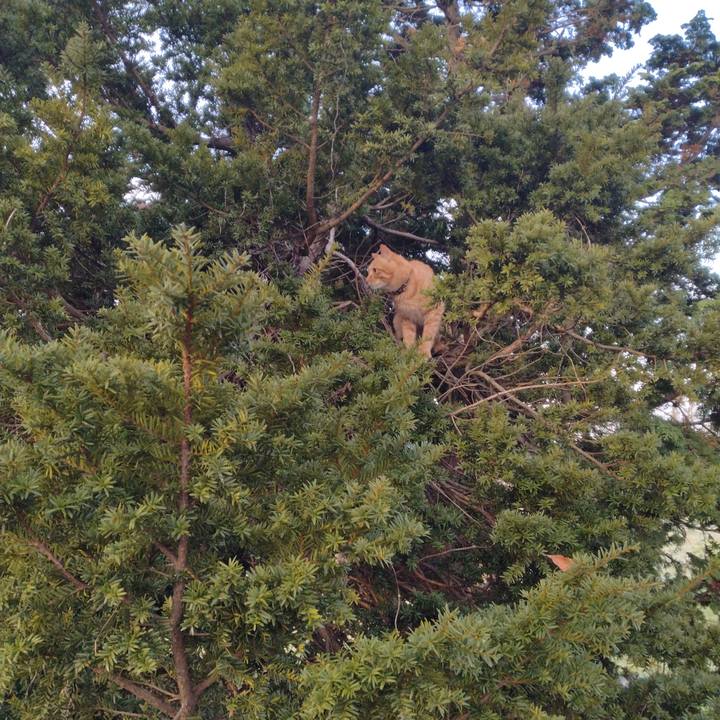 495e500d c099 48cf ab01 a5e48a4d84e9 1668898423459