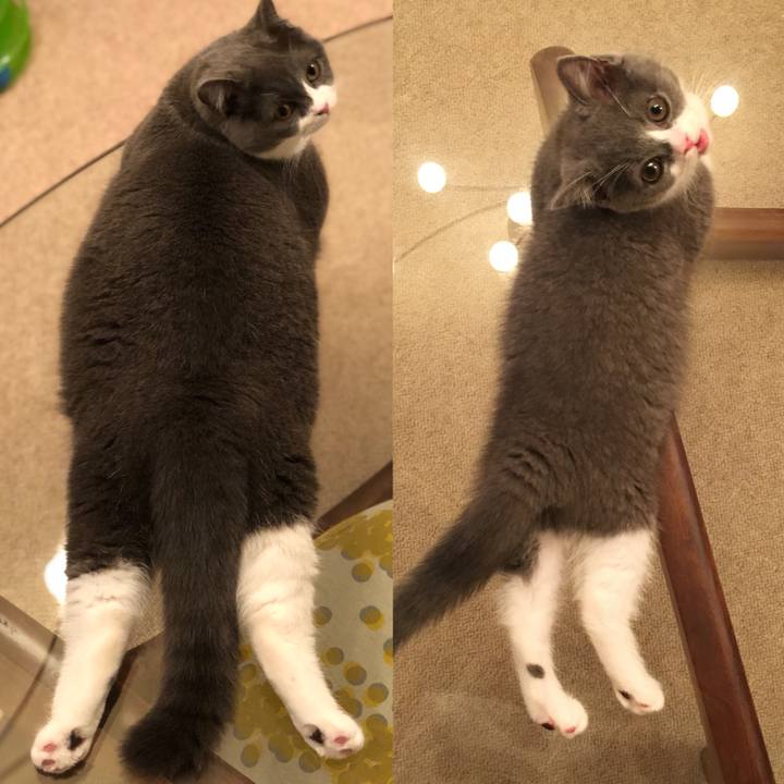 495ed8fa 20df 4dee b77e 31f43c5d03e7 1524222831815