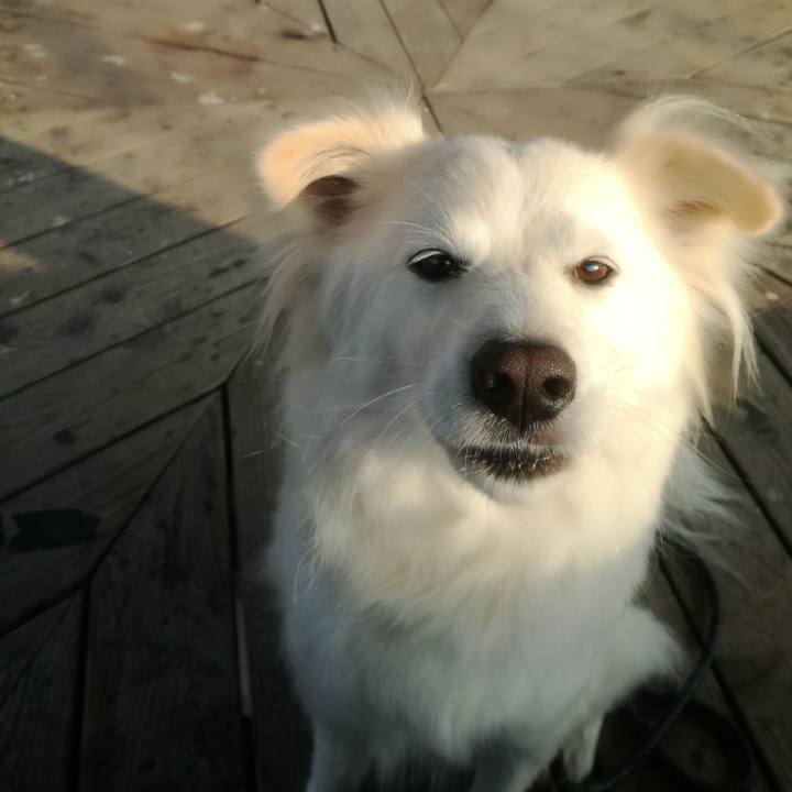 495ed9c3 85e6 44f5 8e42 db1fa5b60050 1522838304796