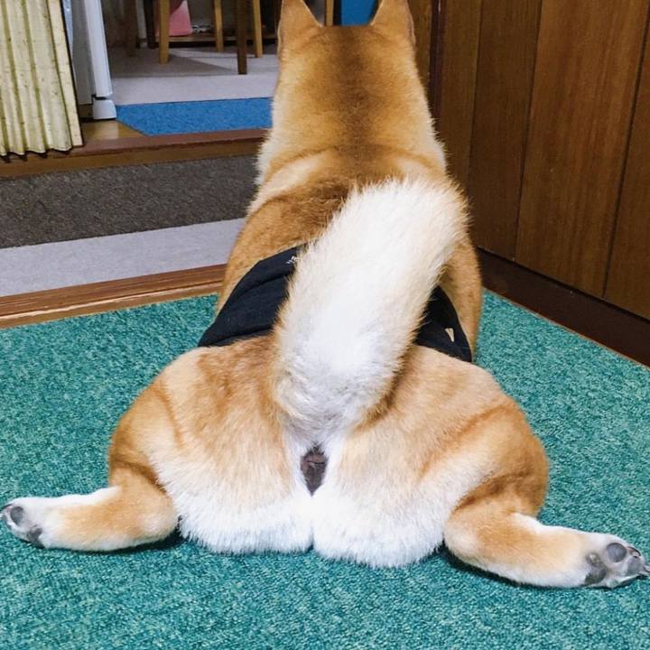 495ede4a 83af 4b14 940c c320356447c5 1706484117140