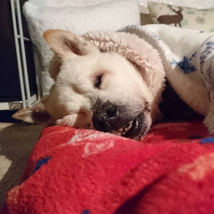 495f0328 78c9 4cef 8156 21972ae2e722 1546786856108