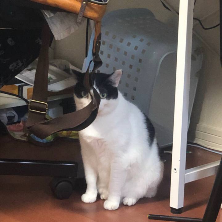 495f5ce8 e629 4fee 8be9 b0670864a329 1569033430769