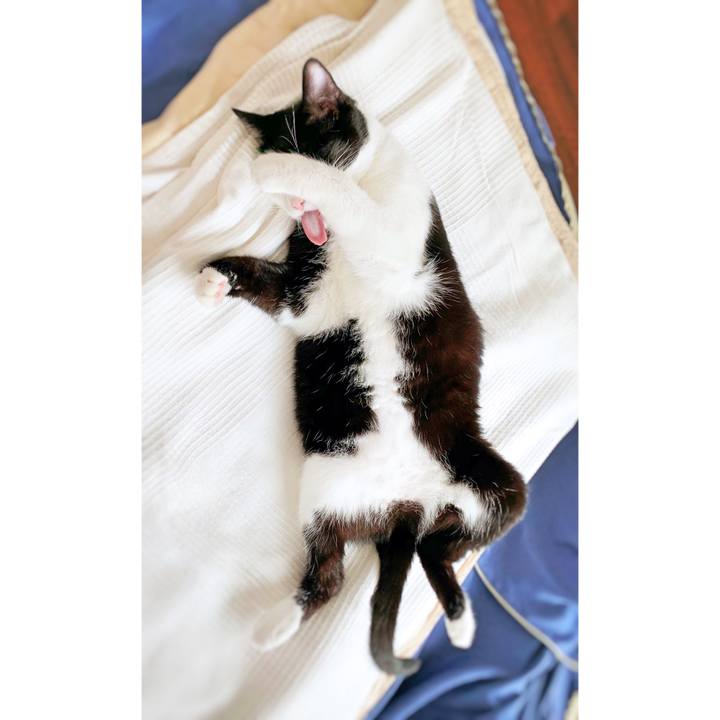 495f7800 5820 4483 984c d5c4d149b367 1566942550583