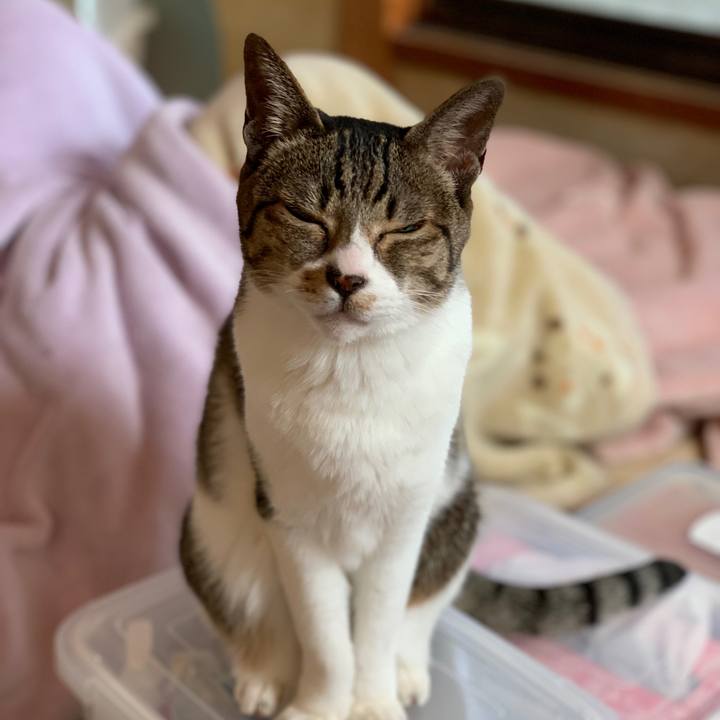 495fc9fb fb0a 4a91 93a1 5d26f261e22a 1546305284671