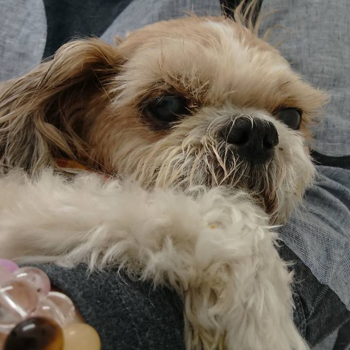 49600522 c3ee 4a1a b4a9 d6ef7bc4a969 1519904981364