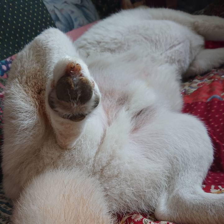 49601476 9d16 4696 b130 64b593e26290 1592730921964