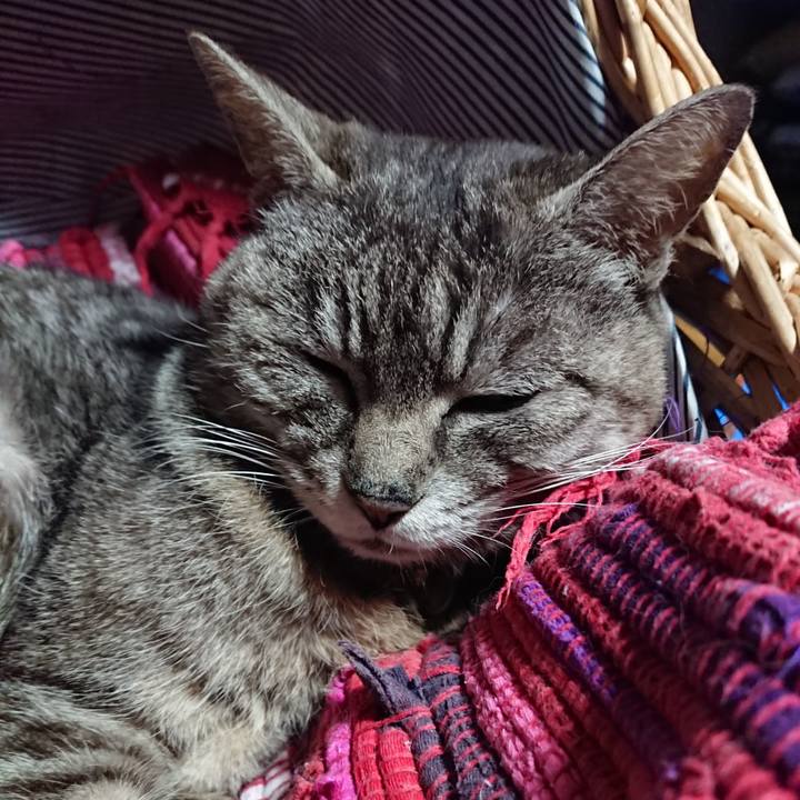 49606cd6 4927 48f3 854d 7edc5bb90e9d 1558087154505