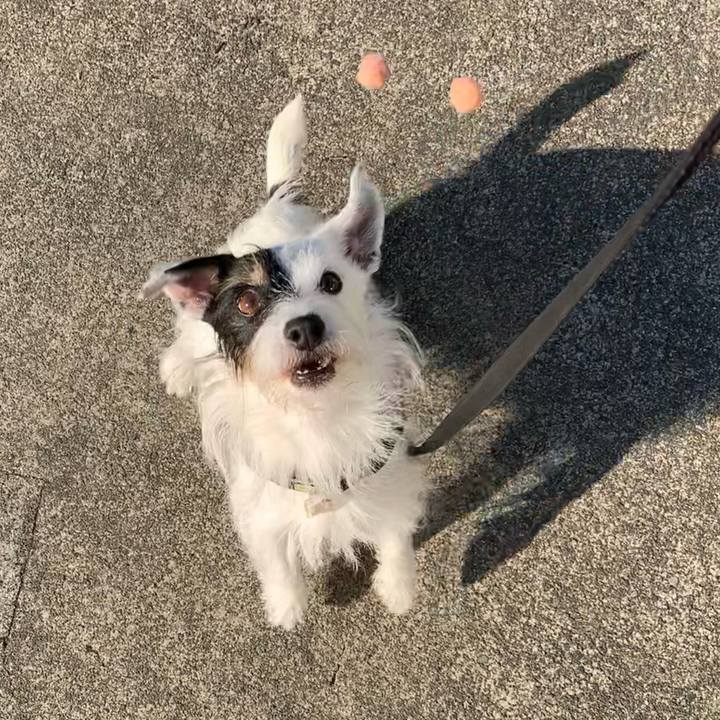 49607a35 b85d 44fc a097 3c28ef40ee3d 1698363764060