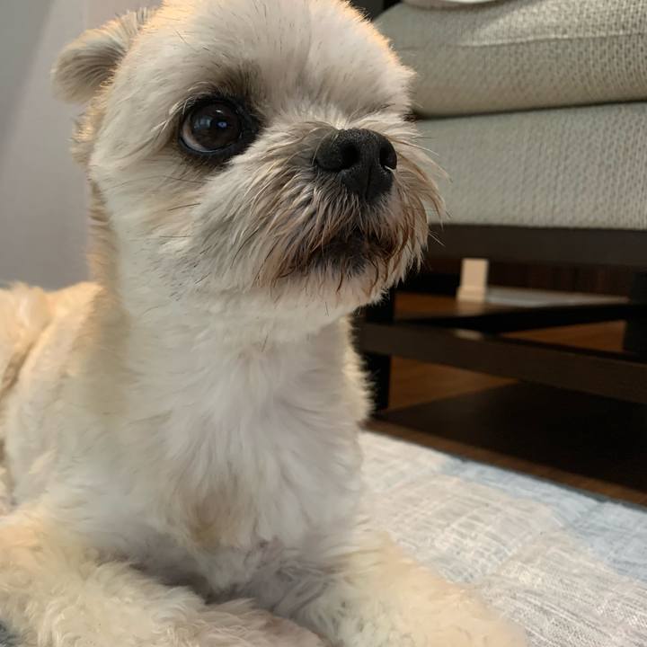 4960bf0a 8fad 4907 82d8 00f0111a4524 1749816070254