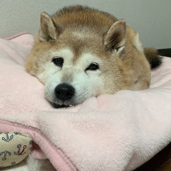 4960f3f2 f0d7 44d8 aed8 a35178f62e53 1635751522794